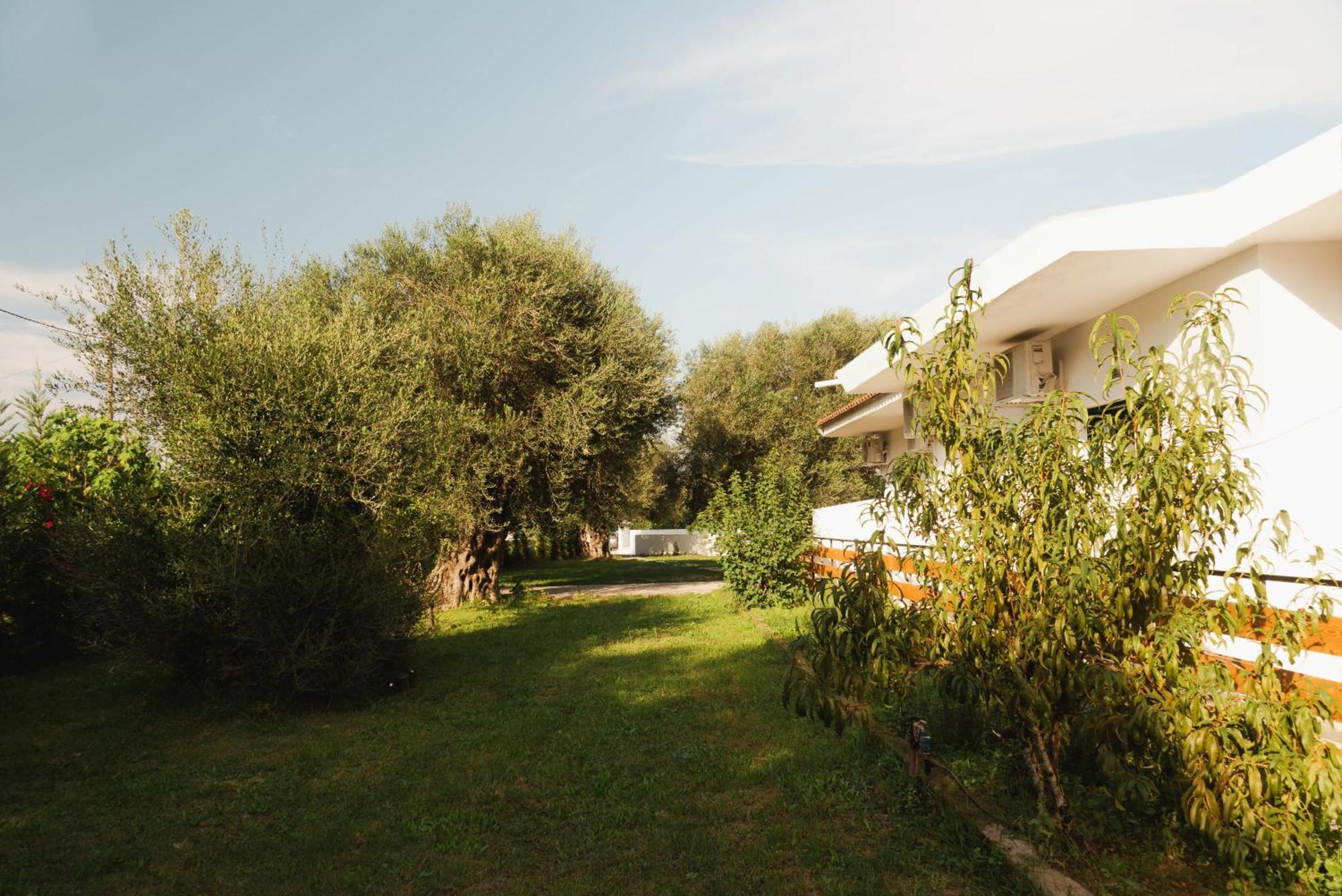 Olive Grove Suites Boutique Hotel Moraitika Dış mekan fotoğraf