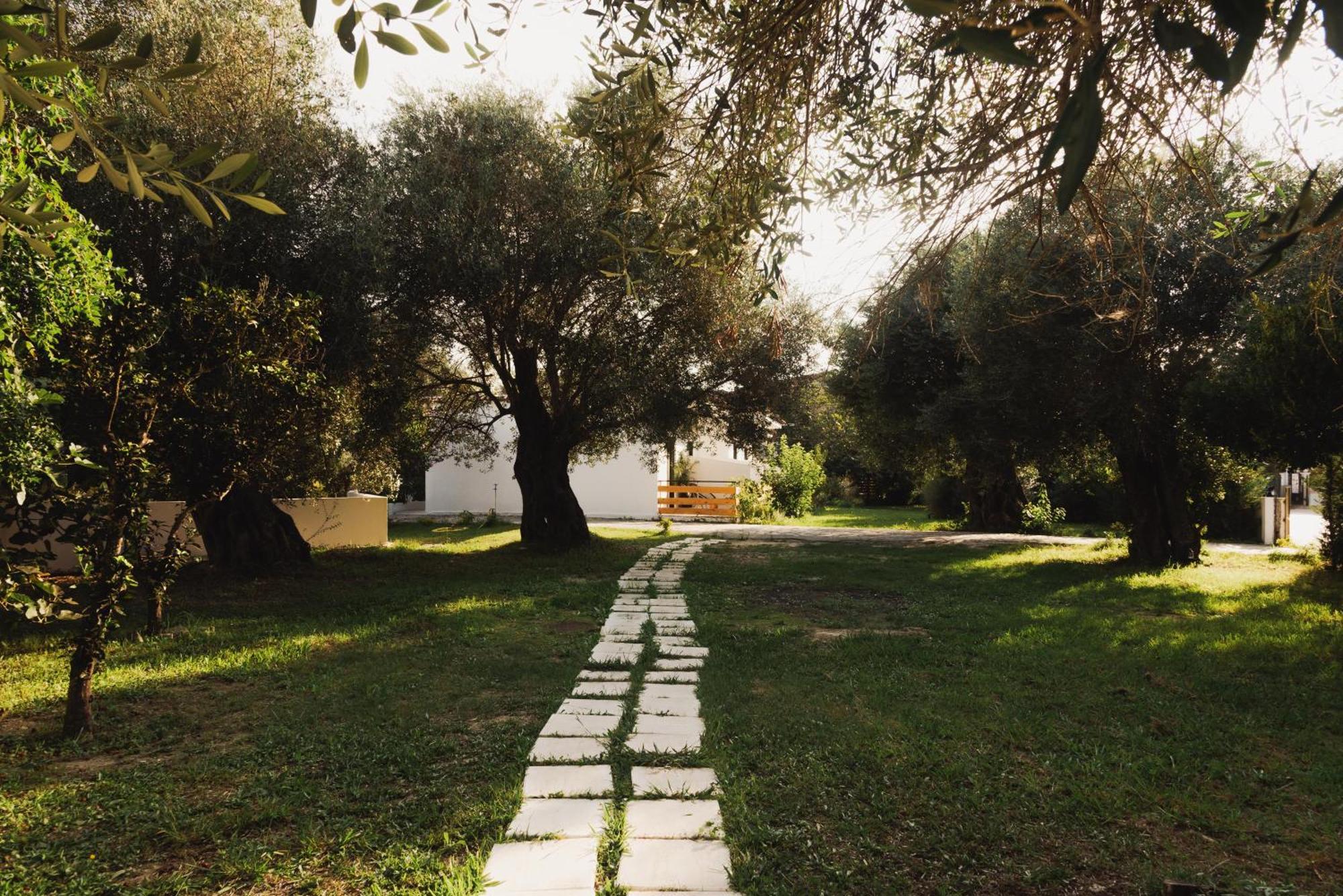 Olive Grove Suites Boutique Hotel Moraitika Dış mekan fotoğraf