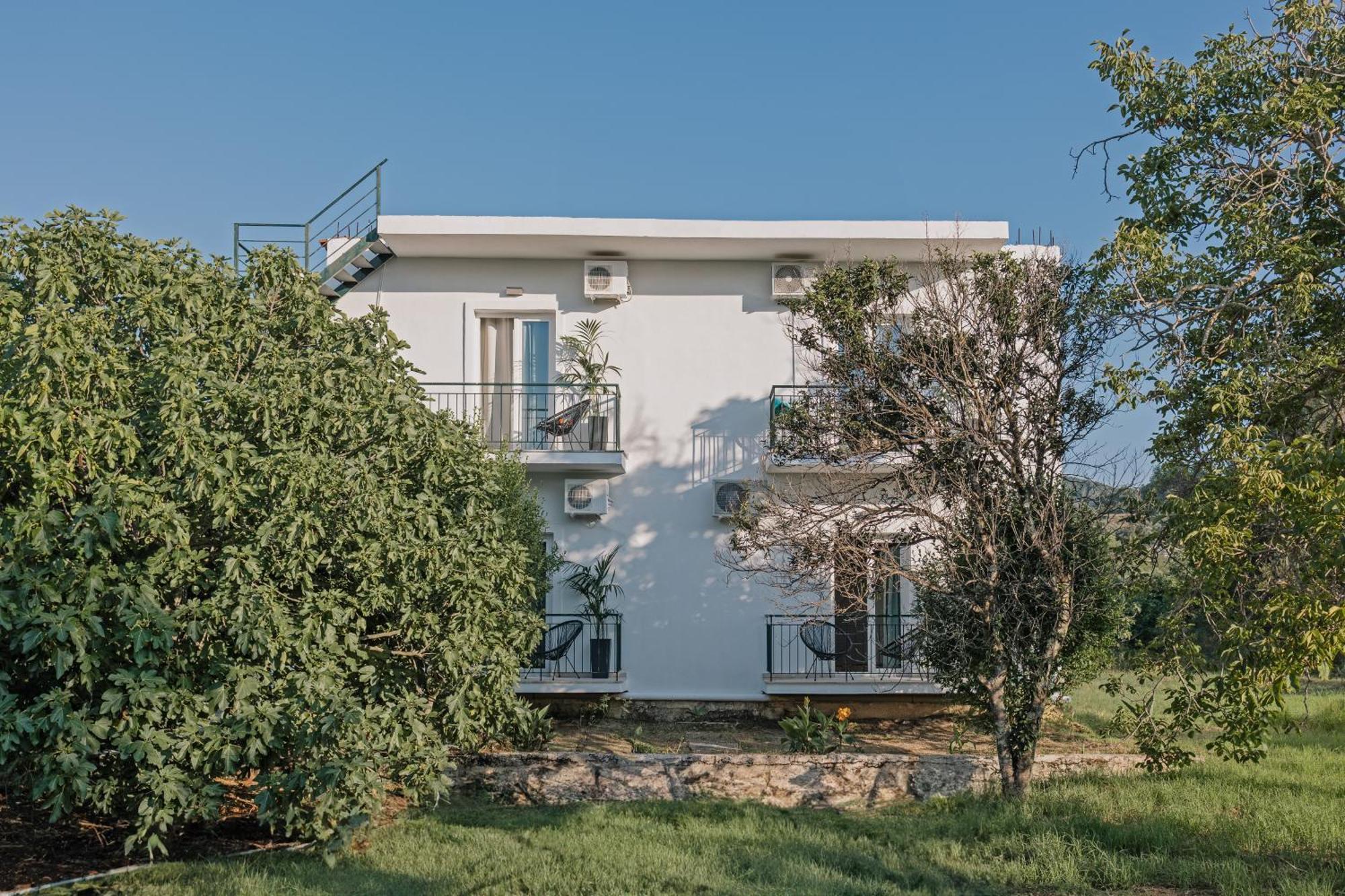 Olive Grove Suites Boutique Hotel Moraitika Dış mekan fotoğraf